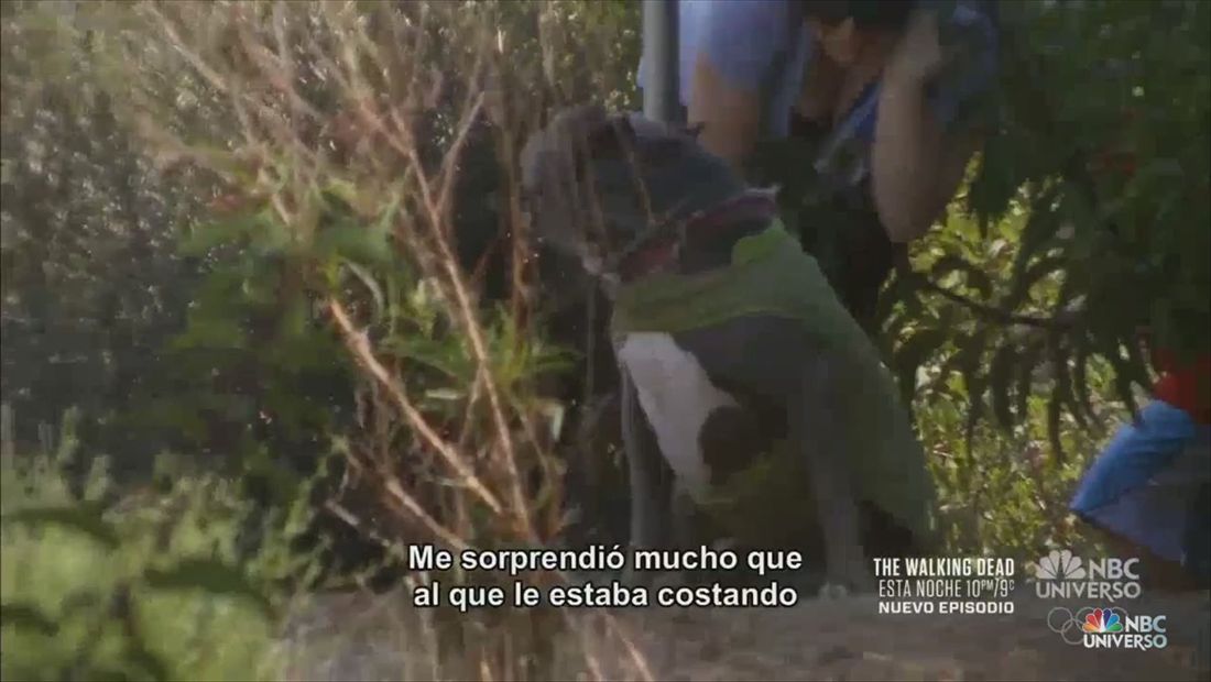 Los niños Rivera van de caminata y pierden el perro (VIDEO) Los niños Rivera van de caminata y pierden el perro (VIDEO)
